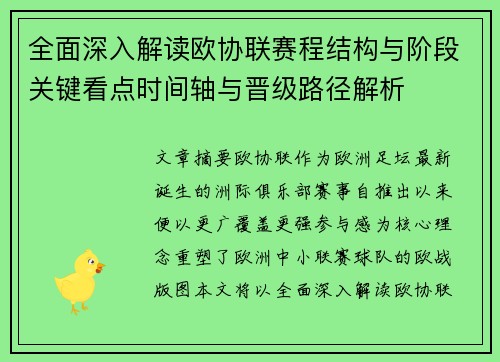 全面深入解读欧协联赛程结构与阶段关键看点时间轴与晋级路径解析
