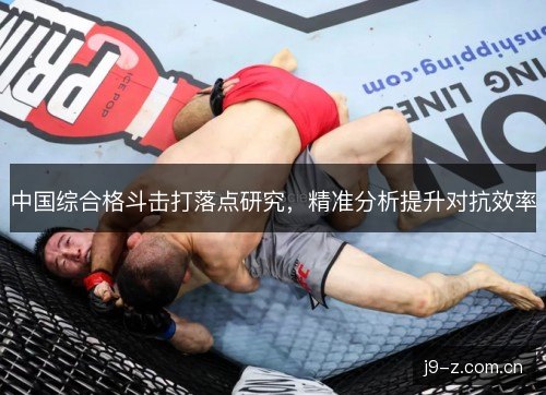 中国综合格斗击打落点研究，精准分析提升对抗效率